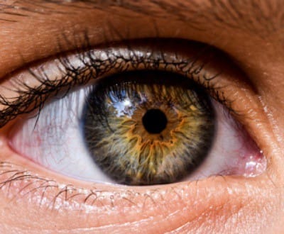 Close-up of a human eye highlighting iris patterns used in holistic iridology analysis.
