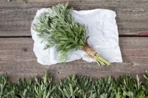 Ancient medicinal herb wormwood bundle, used for natural healing, digestive health, and herbal teas, displayed on rustic wooden surface.